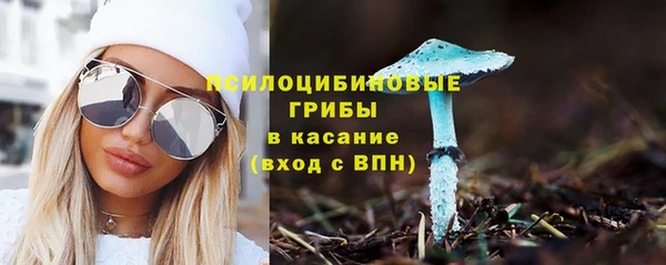 прущие грибы Верхний Тагил