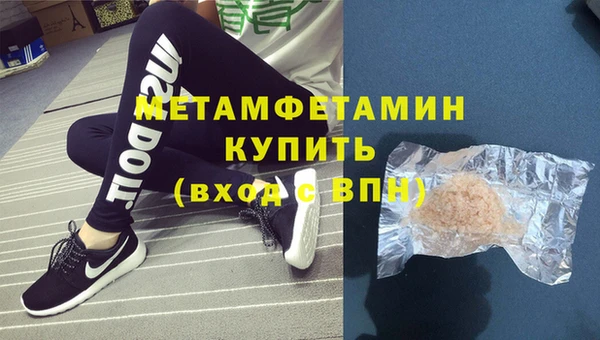 крисы Бородино