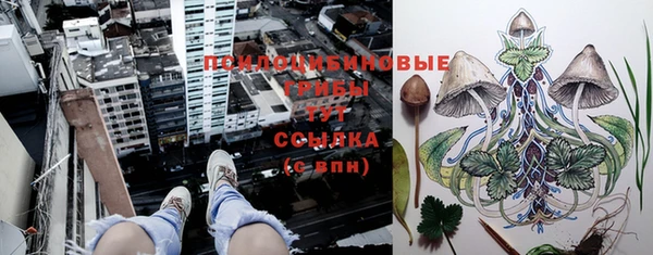 2c-b Верея