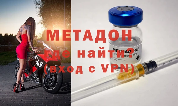 прущие грибы Верхний Тагил