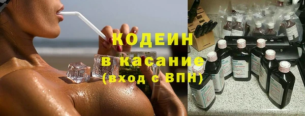 прущие грибы Верхний Тагил