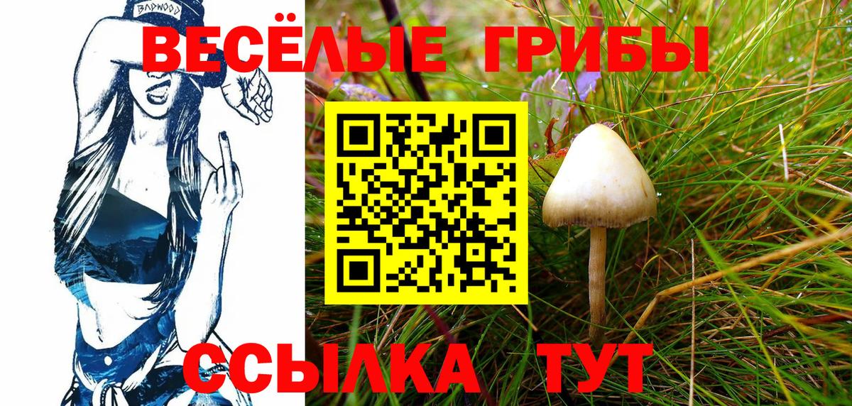 цена наркотик  Вход с VPN  Мончегорск  Псилоцибиновые грибы Psilocybe 